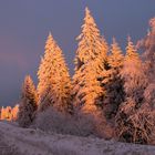 Schwarzwald im abendlichen Gegenbild