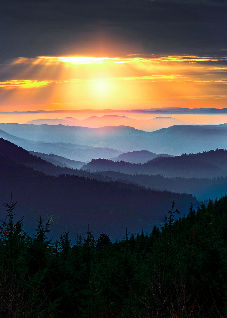 Schwarzwald im Abendlicht