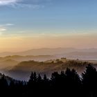 Schwarzwald im Abendlicht