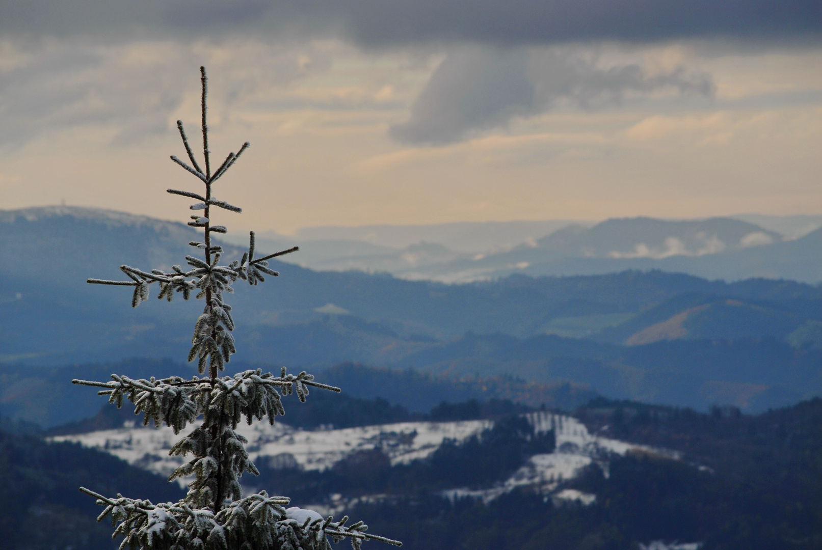 Schwarzwald im Dezember
