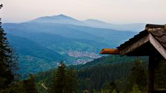 Schwarzwald im Dunst