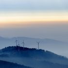 Schwarzwald im Herbst