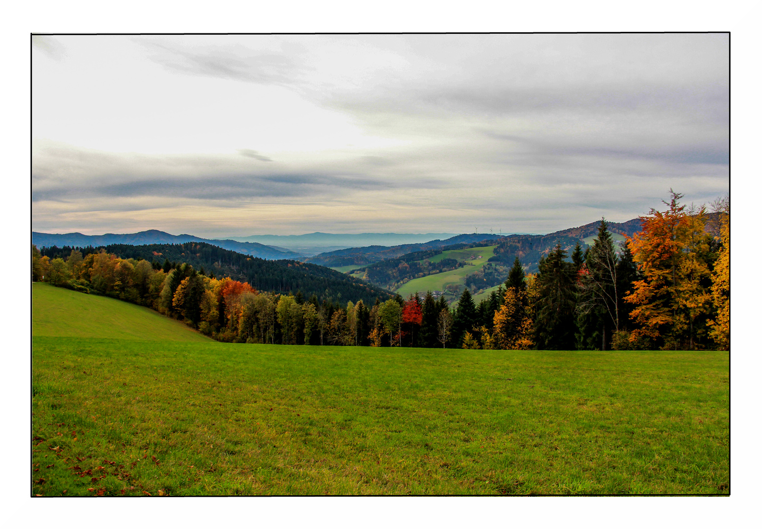 schwarzwald im herbst