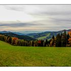 schwarzwald im herbst