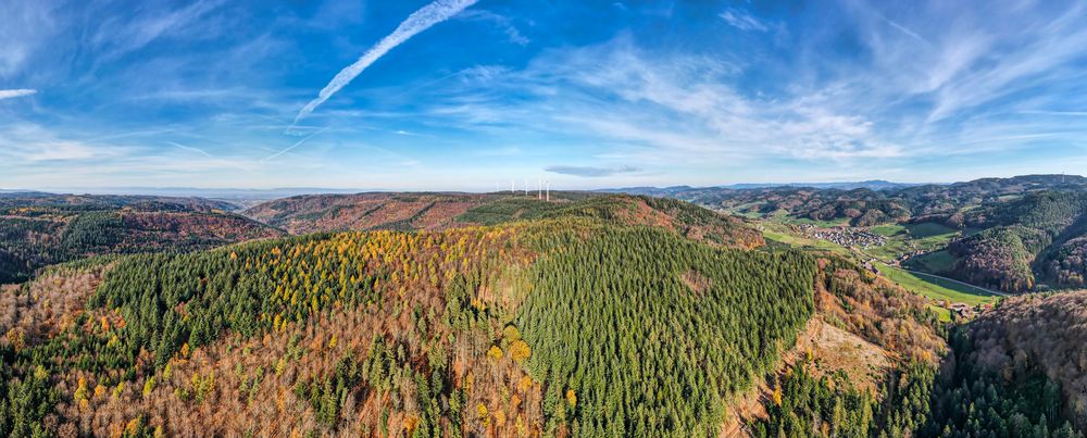 Schwarzwald im Herbst 