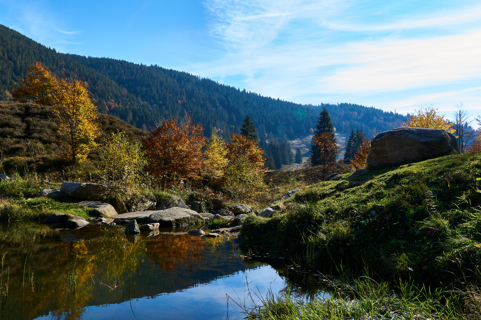 Schwarzwald im Herbst