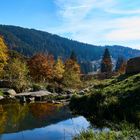 Schwarzwald im Herbst