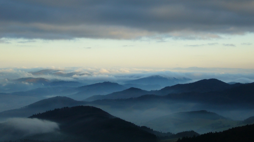 schwarzwald im herbst