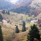 Schwarzwald im Herbst