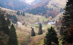 Schwarzwald im Herbst