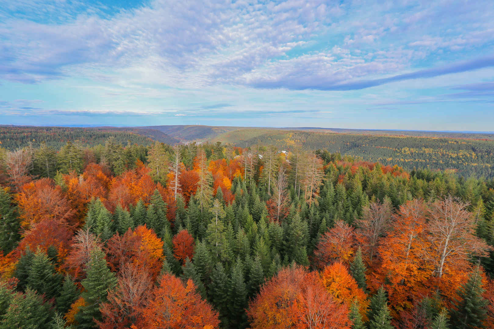 Schwarzwald im Herbst