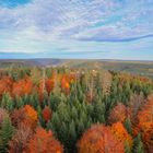 Schwarzwald im Herbst