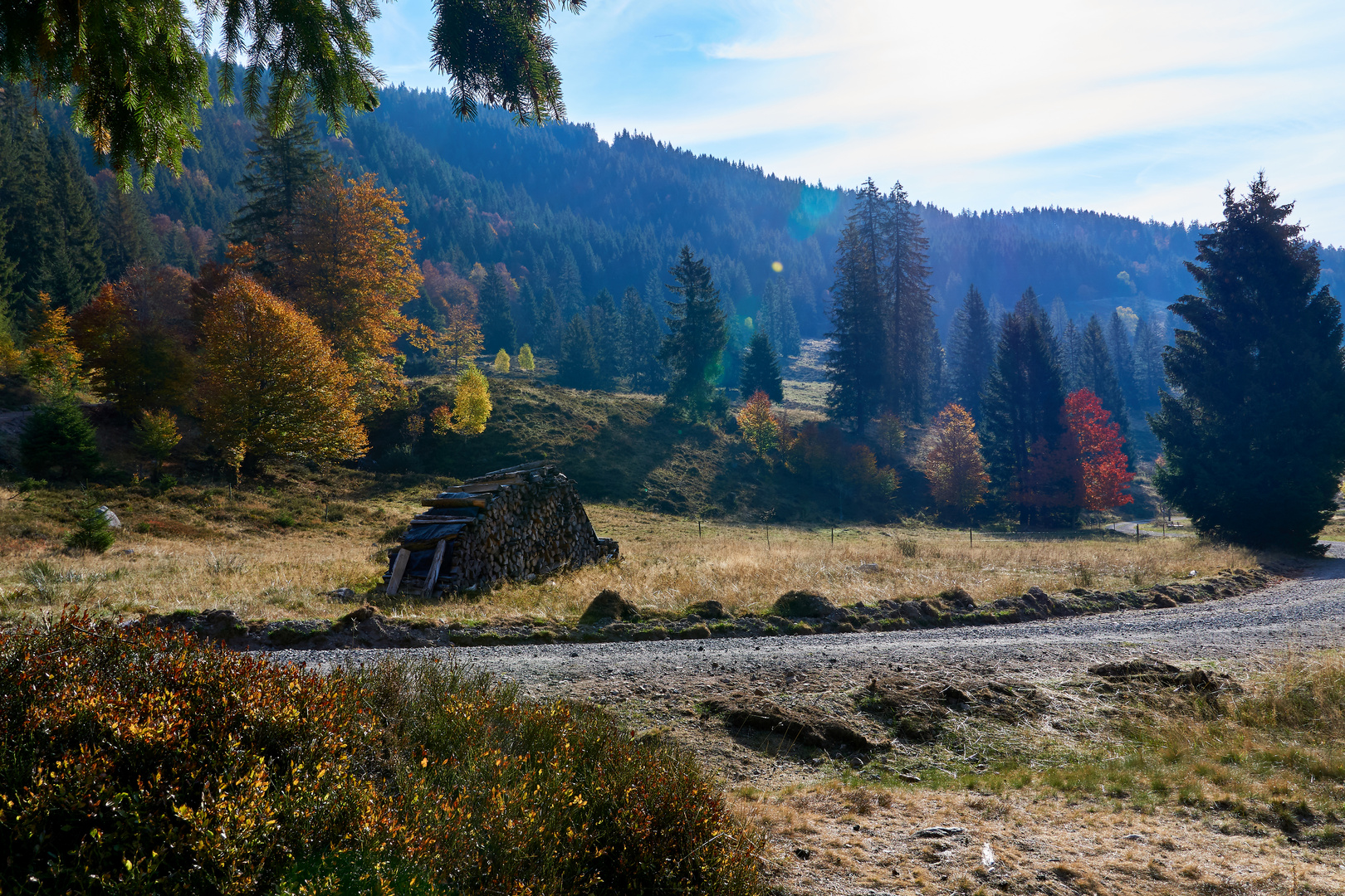 Schwarzwald im Herbst