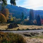 Schwarzwald im Herbst