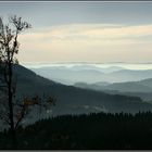 Schwarzwald im Herbstnebel