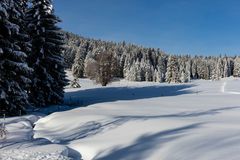 Schwarzwald im Januar