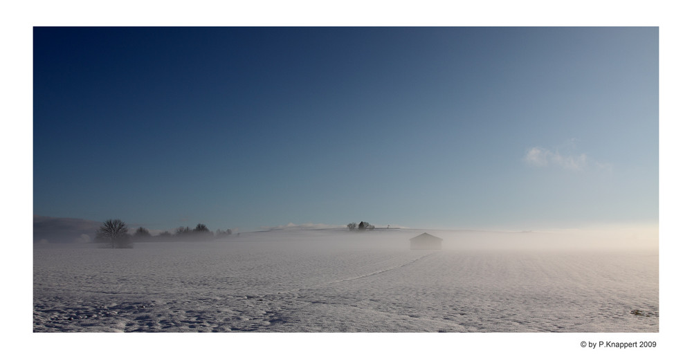 Schwarzwald im Nebel (7)