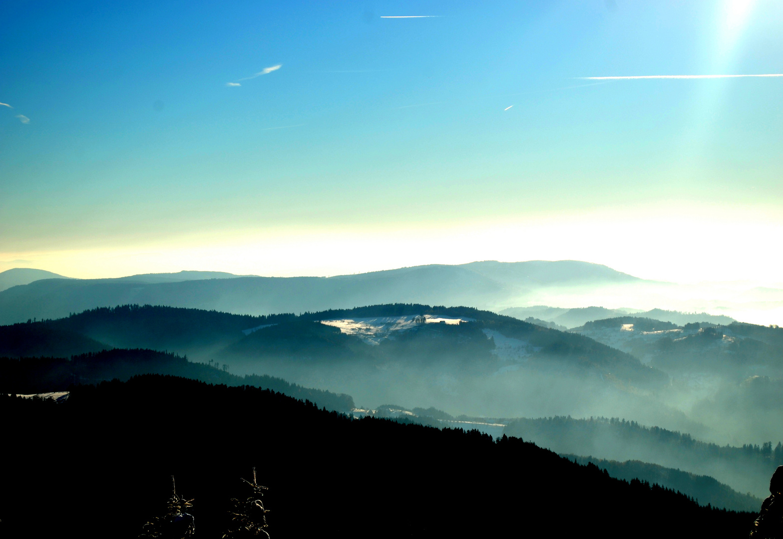 Schwarzwald im Nebel