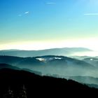 Schwarzwald im Nebel