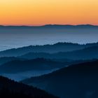 Schwarzwald im Nebelmeer