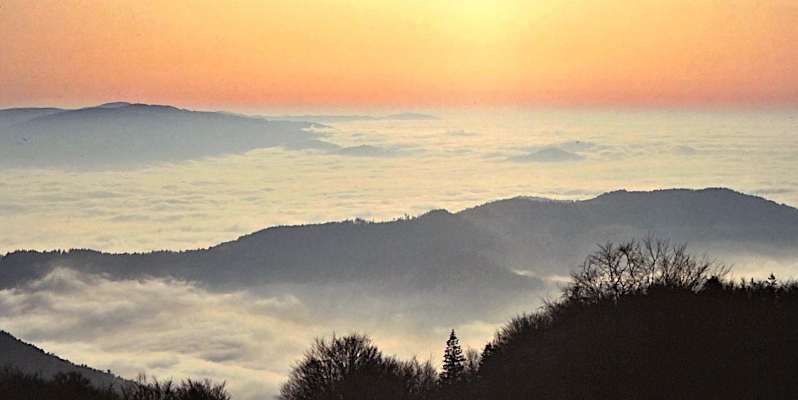 Schwarzwald im Nebelmeer