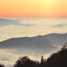 Schwarzwald im Nebelmeer