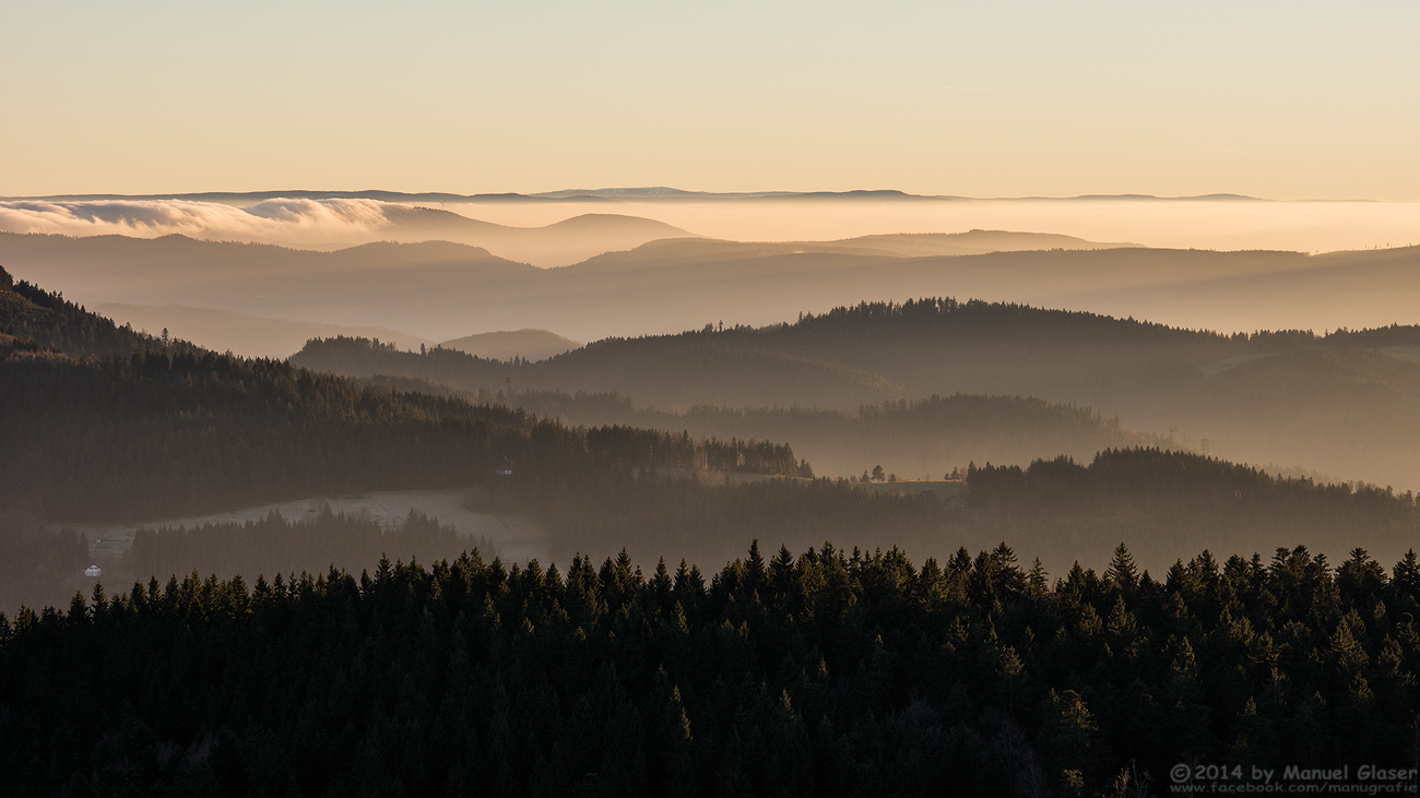 Schwarzwald im Nebelmeer