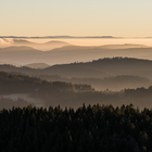 Schwarzwald im Nebelmeer