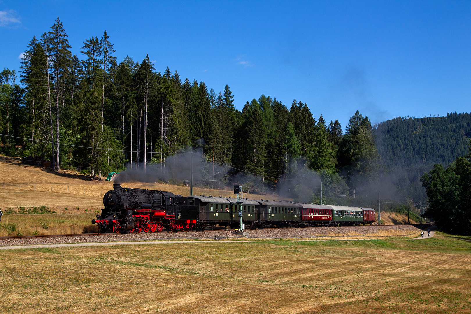 Schwarzwald im Sommer 2022