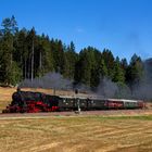 Schwarzwald im Sommer 2022