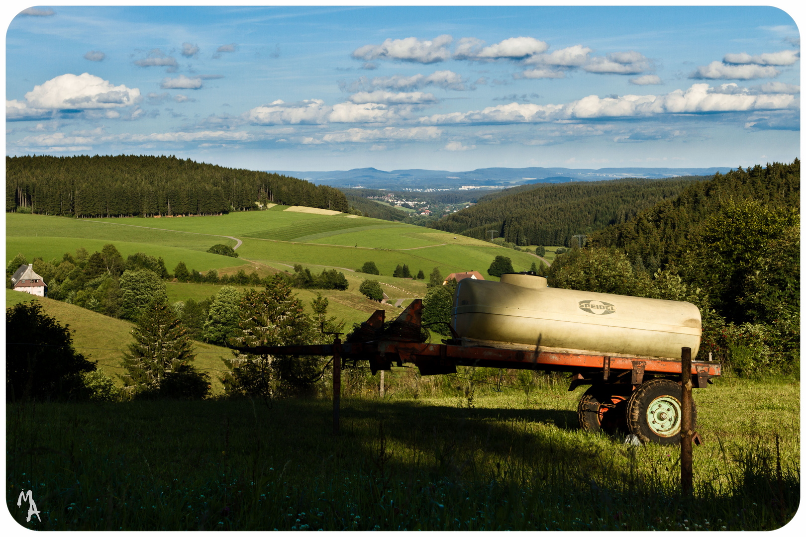 Schwarzwald im Sommer