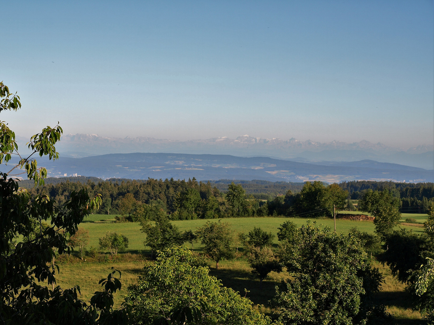 Schwarzwald im Sommer, Teil 1