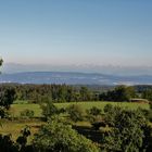 Schwarzwald im Sommer, Teil 1