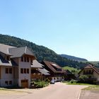 Schwarzwald im Sommer, Teil 2