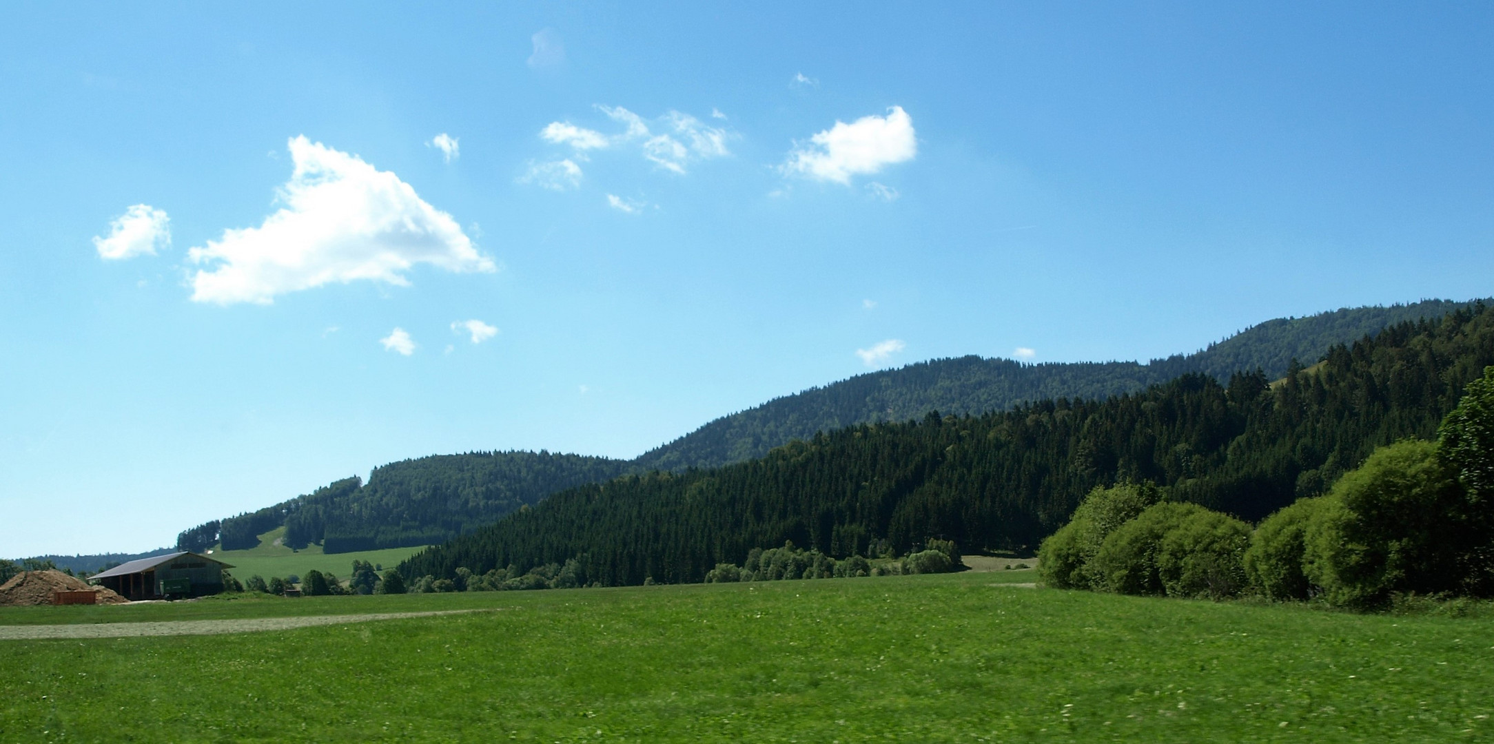 Schwarzwald im Sommer, Teil 3