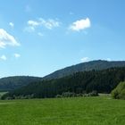 Schwarzwald im Sommer, Teil 3