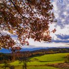 Schwarzwald im Spätherbst