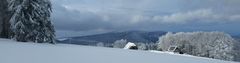 Schwarzwald im Winter