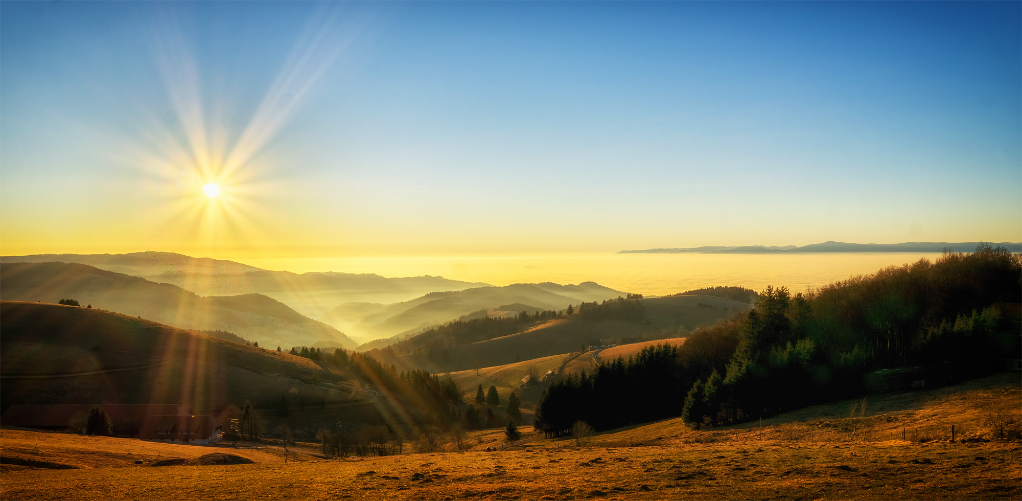 Schwarzwald im Winter. 