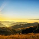 Schwarzwald im Winter. 