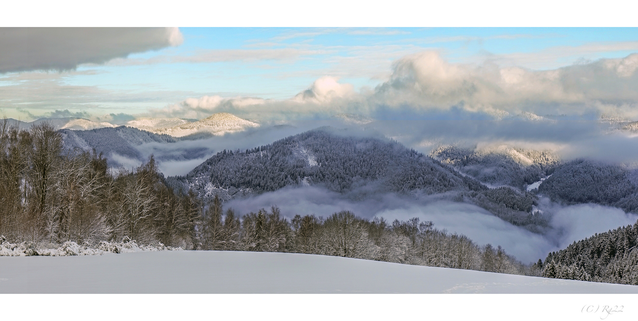 schwarzwald im winter