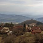 Schwarzwald im Winter