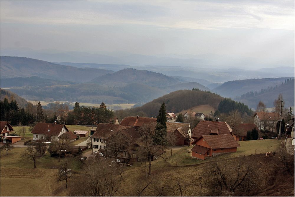 Schwarzwald im Winter