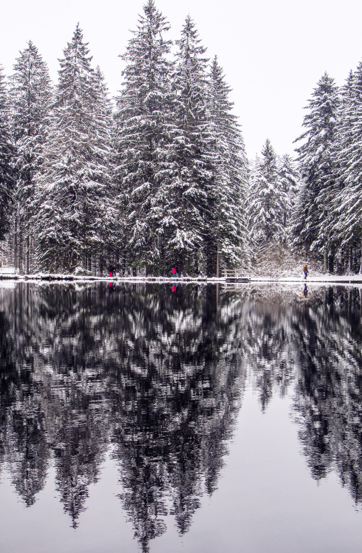 Schwarzwald im Winter