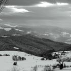 Schwarzwald im Winter