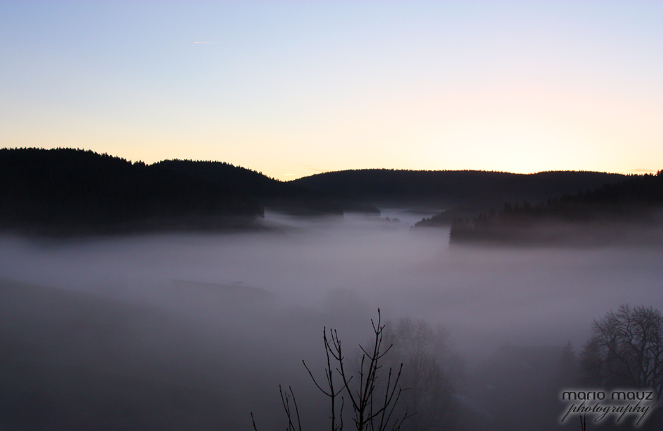 Schwarzwald im Wintergleid