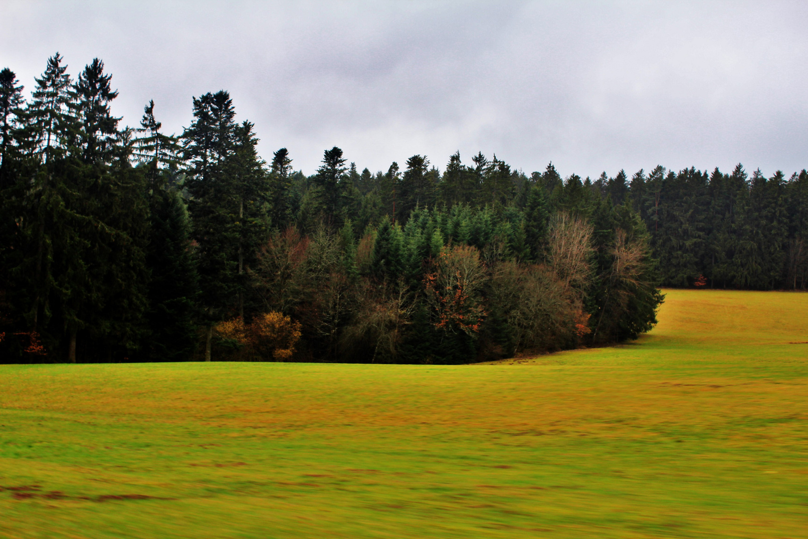 Schwarzwald Impressioenen 4