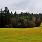 Schwarzwald Impressioenen 4