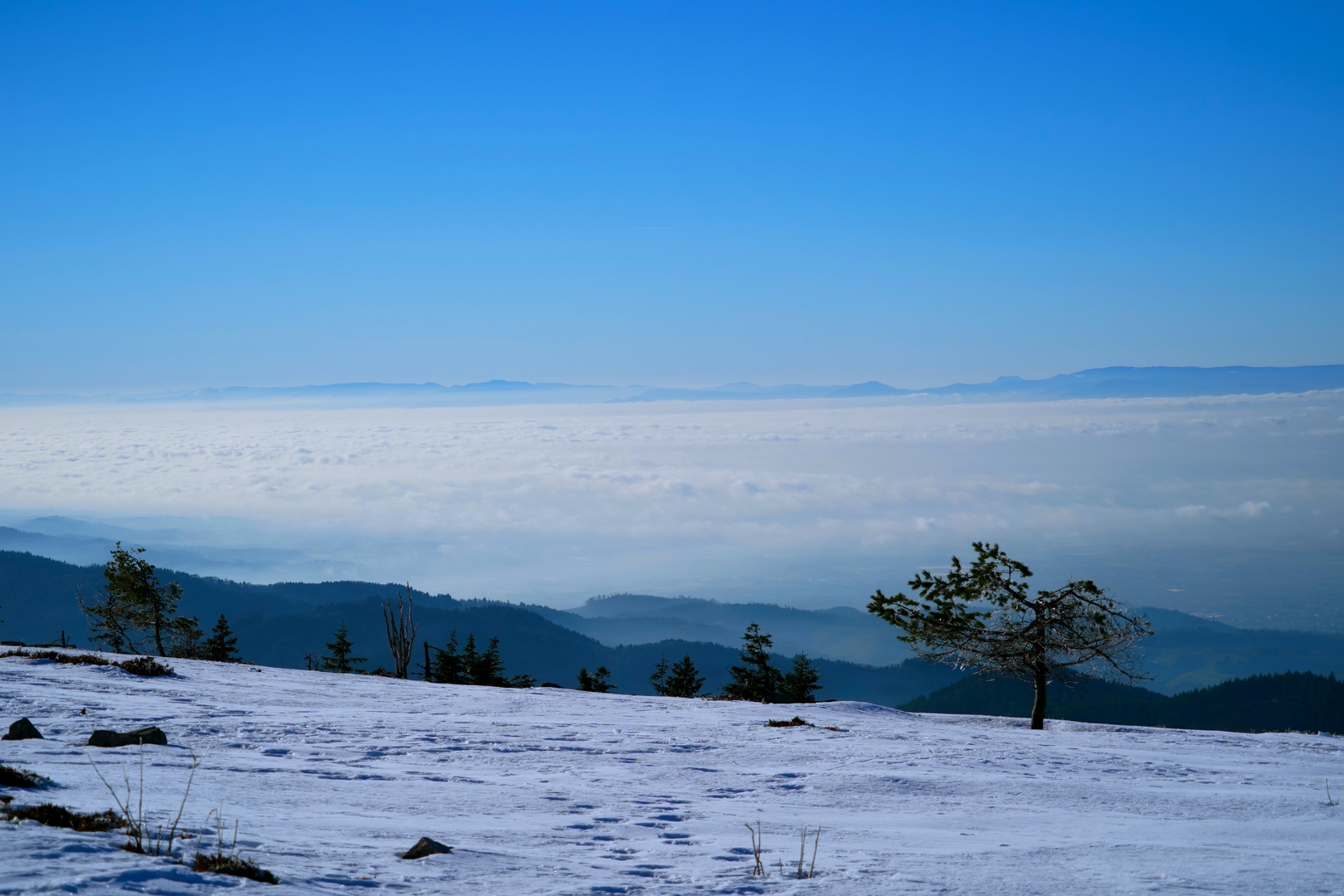 Schwarzwald Impression