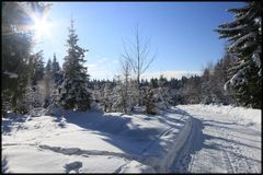 Schwarzwald Impressionen-1